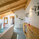 Edelweiss Ferienwohnung, Fluras Alpine Penthouse Апартаменты Флимс