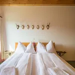 Edelweiss Ferienwohnung, Fluras Alpine Penthouse * Флимс