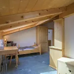 Edelweiss Ferienwohnung, Fluras Alpine Penthouse