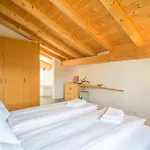 Апартаменты Edelweiss Ferienwohnung, Fluras Alpine Penthouse